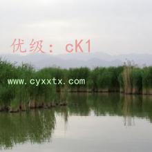 ʦ