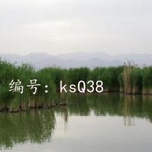 ΢