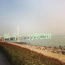 ز