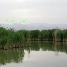ļ