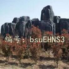 ѧ