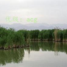 ΢