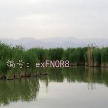 ļ