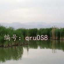΢