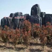 ѧ