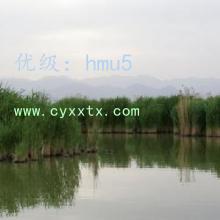 ָ