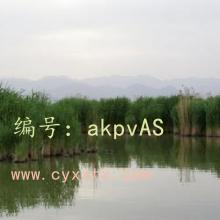 ʦ