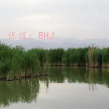ļ
